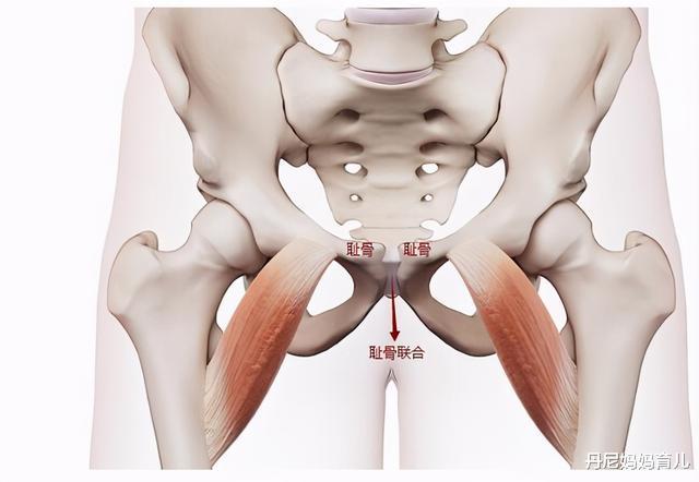 孕七个月耻骨疼，原因、缓解与管理